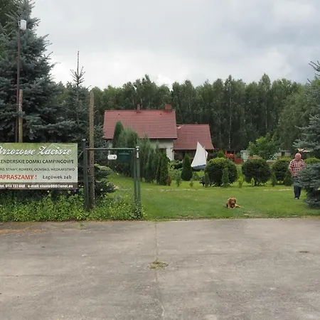Brzozowe Zacisze Villa Lagow  Exterior photo